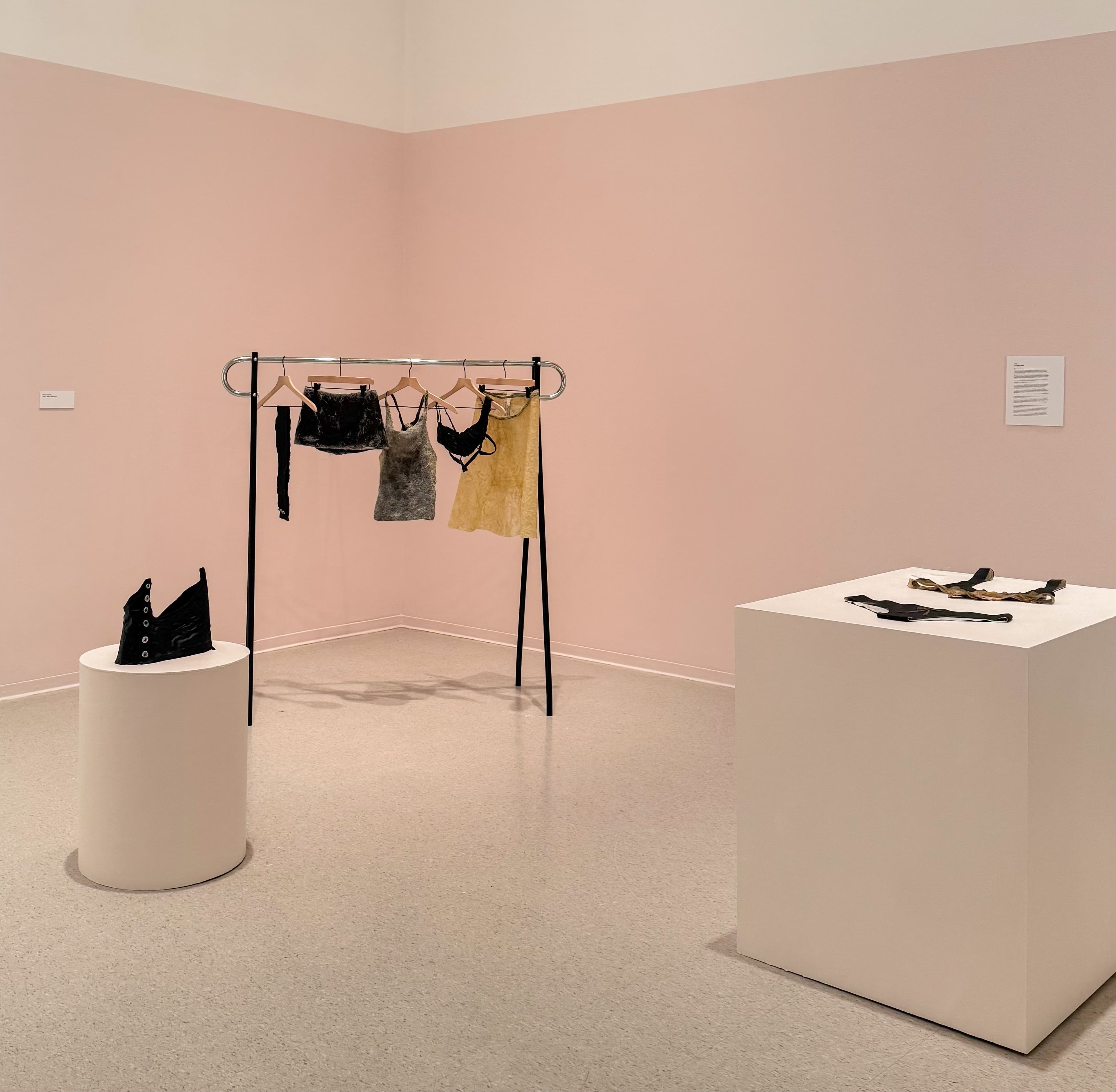 Display in Nichols Gallery