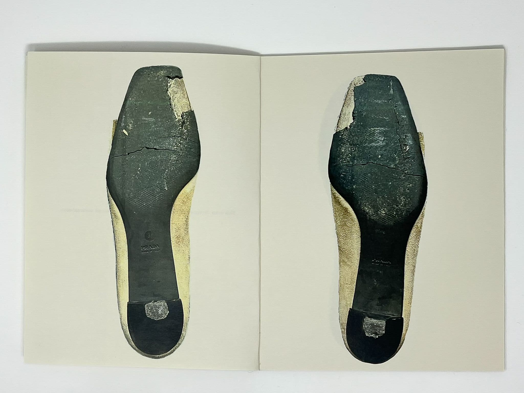 Pages 2-3